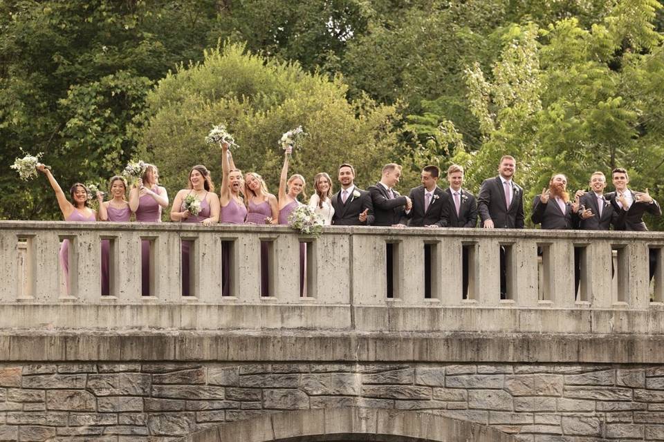 Bridge Picture