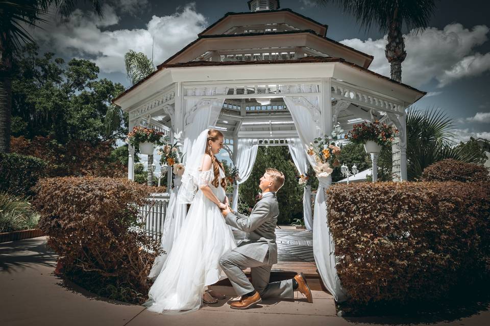 Proposal