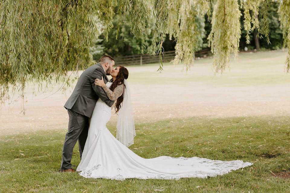 Kisses under the willows