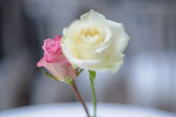 Marry Me Bouquets