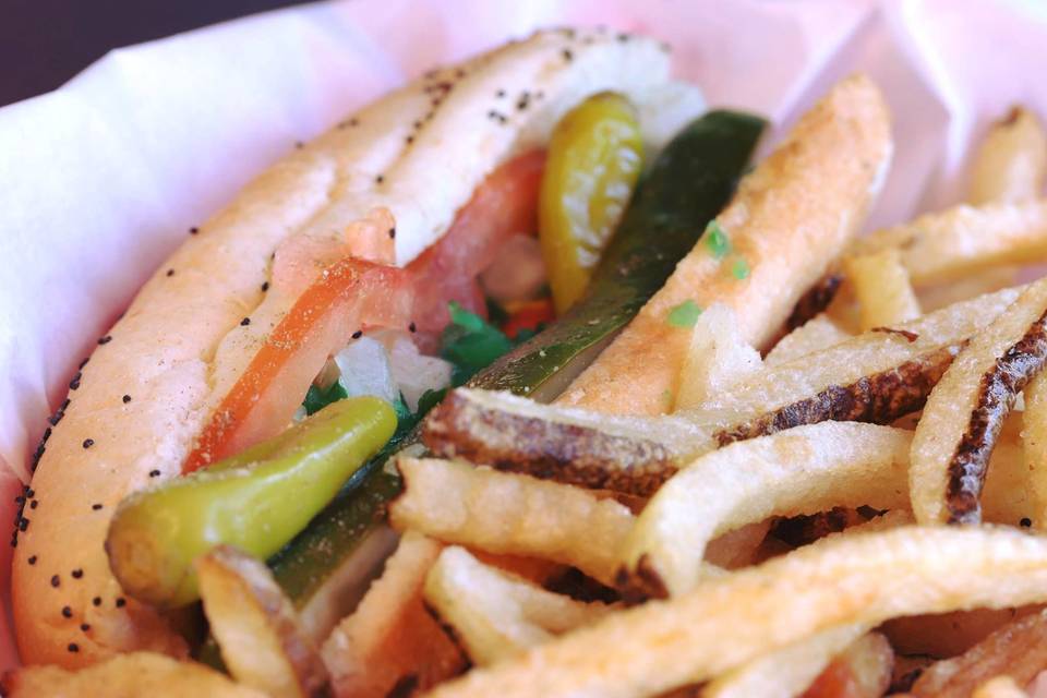 Doctor Dogs Food Truck