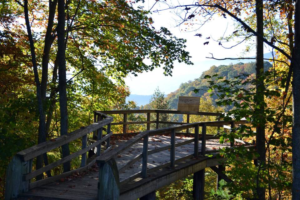 Roan Mountain State Park
