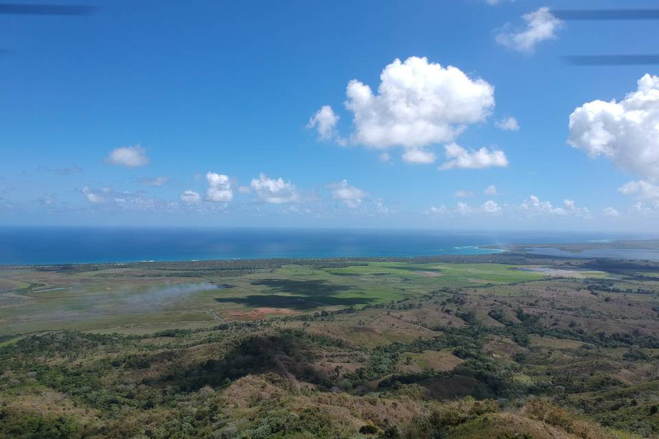 Overlooking the sea!