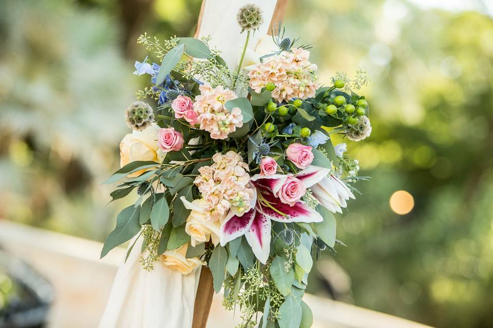 Sara Walker Events
