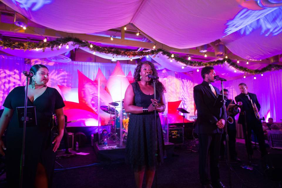 Sara Walker Events