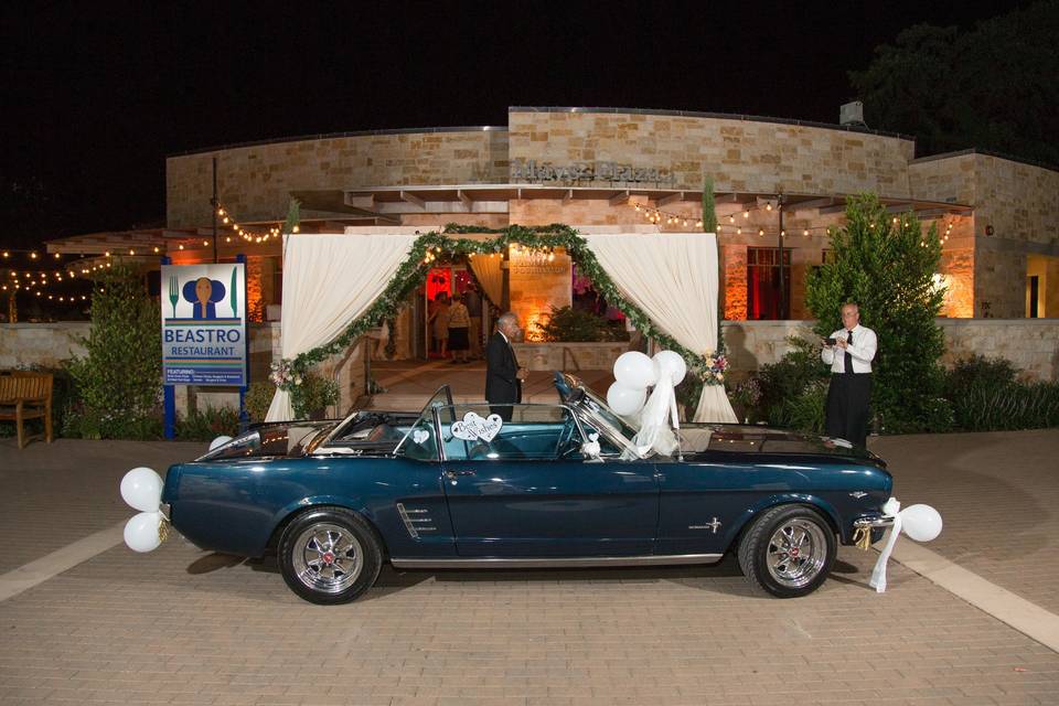 Sara Walker Events