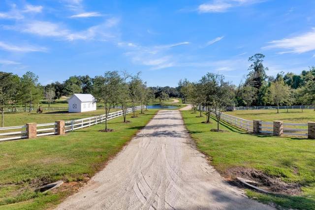 The Oaks at Magnolia Springs