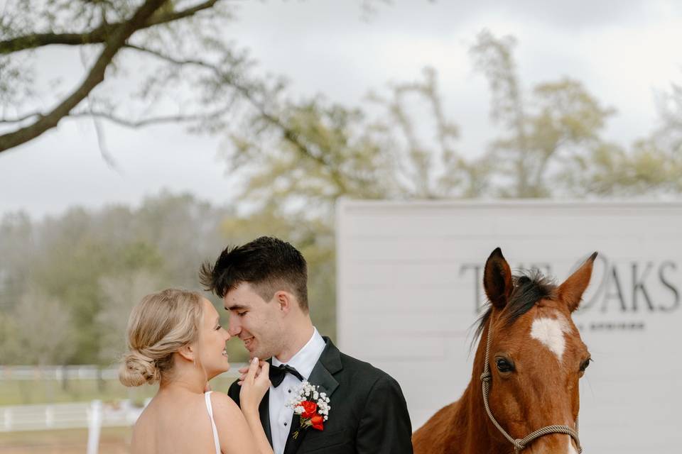 Photos with the horses