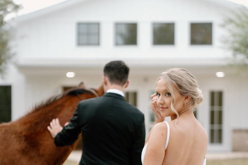 Photos with the horses