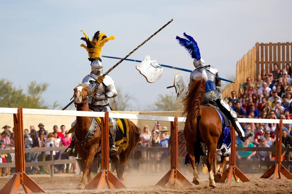 Experience the Joust!