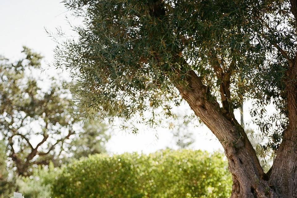 D+A-ojai, ca