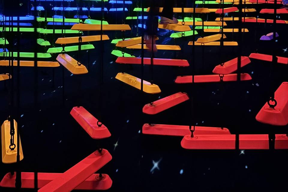 Team Lab in Japan