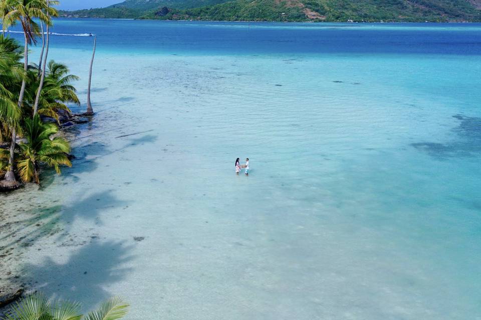Pacific For Less. Inc.