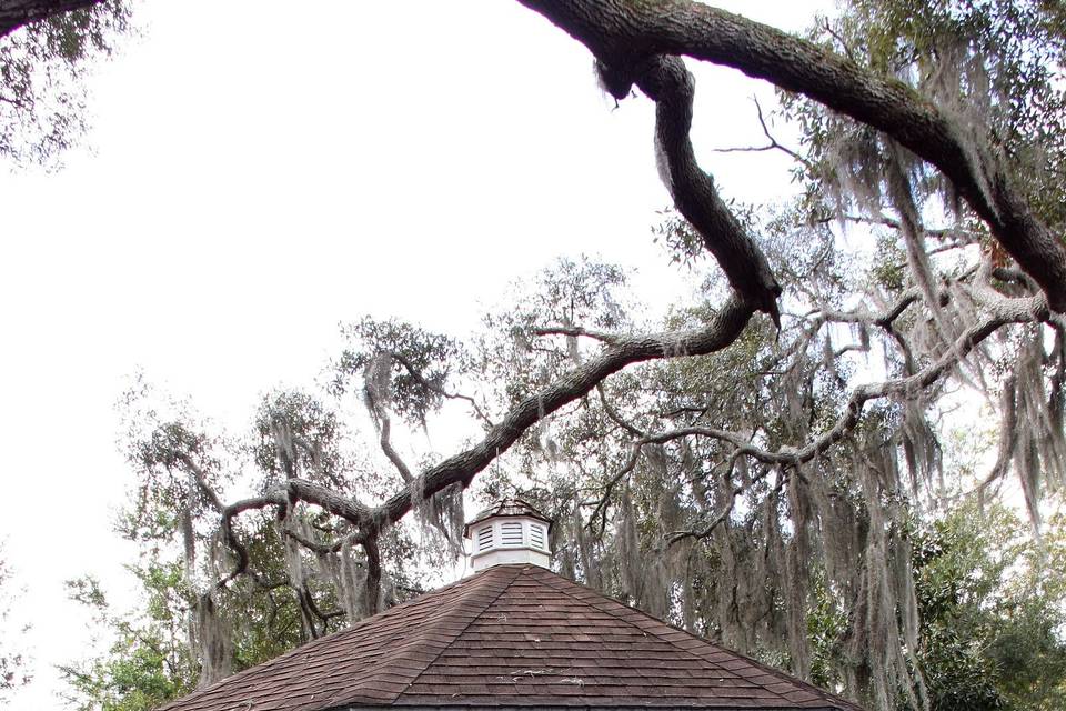 Florida Wedding Officiant