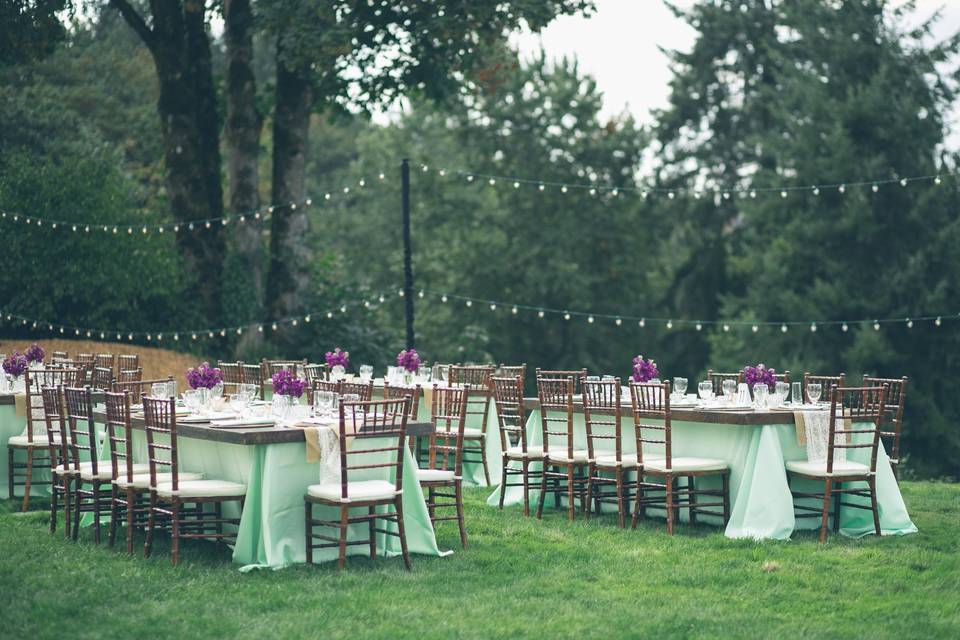 Outdoor reception Aniko Productions