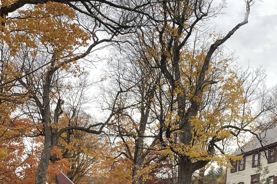 Fall in Vermont