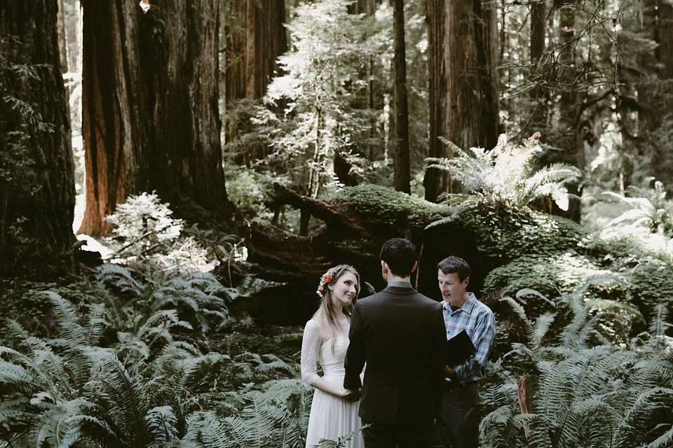 Congratulations Brenna & Jake | Prairie Creek State Park, Orick, California | Photo: Ash Carr Photography