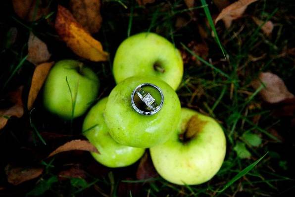 Dana Schoppe Photography