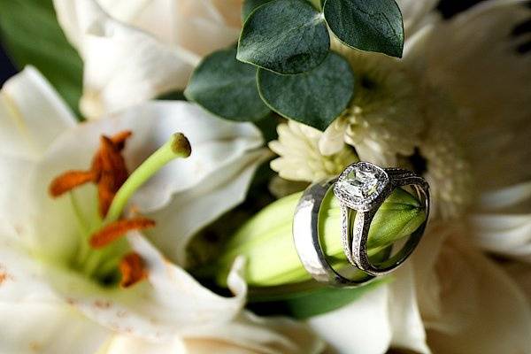 Dana Schoppe Photography