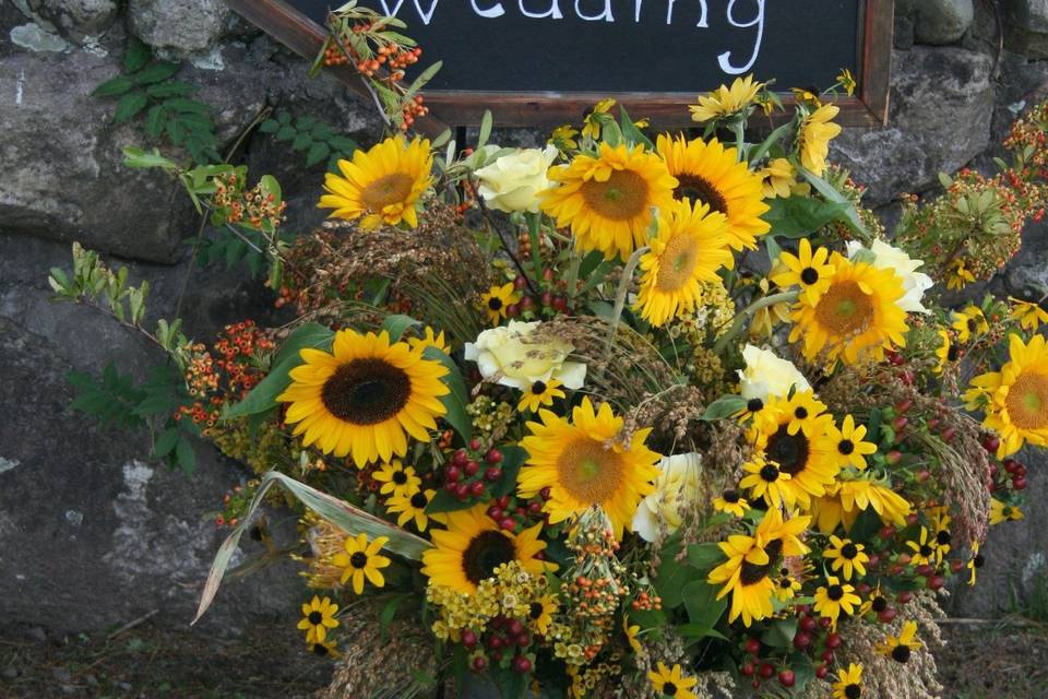 muddy feet flower farm