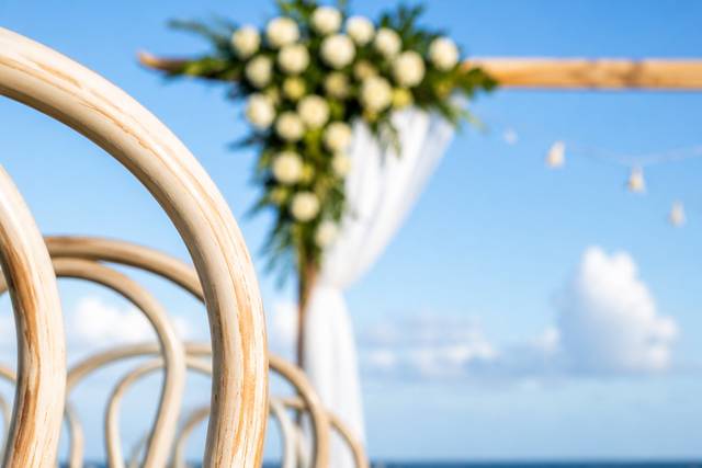 Pure White Decor