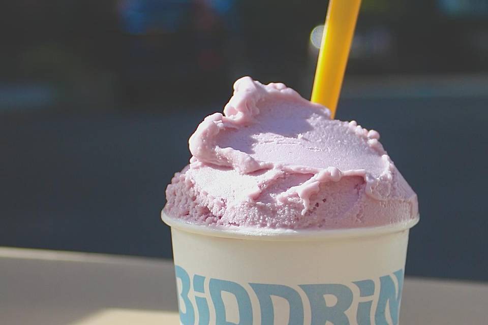 Biddrina Gelato