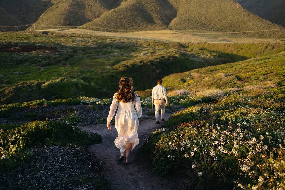 Big Sur engagement