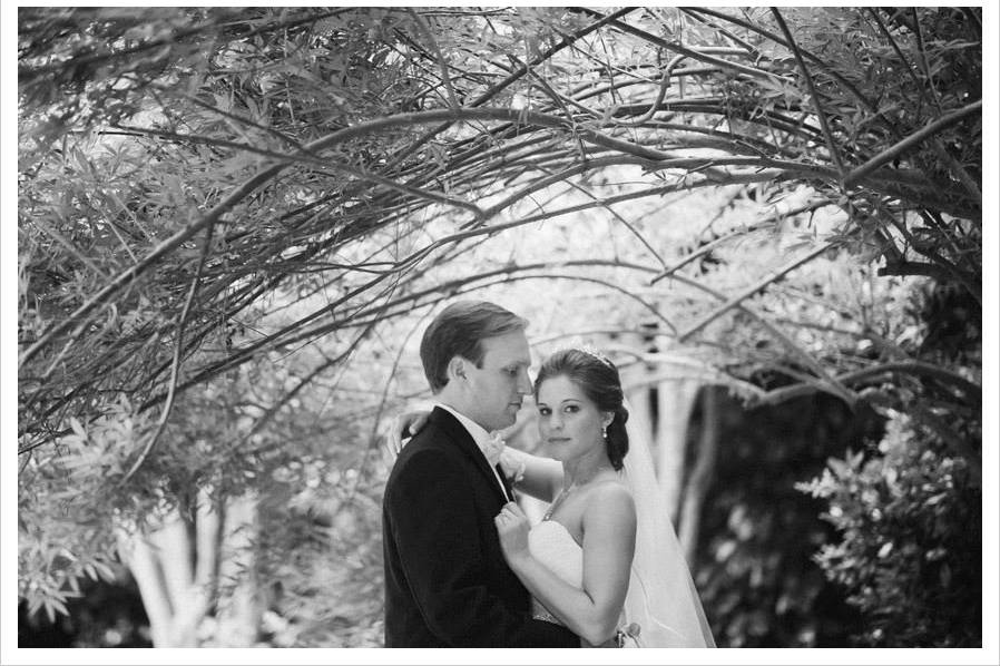 Groom and bride