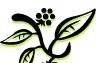 Minton Finefoods