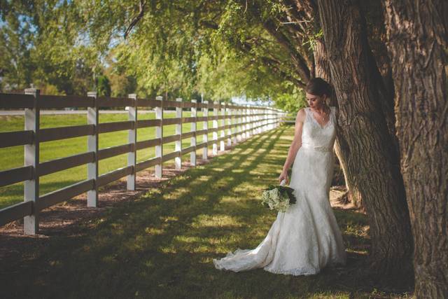 Timeless Moments Photography