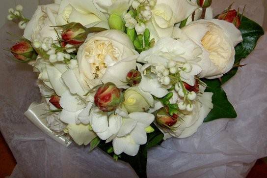 Anne Appleman Flowers
