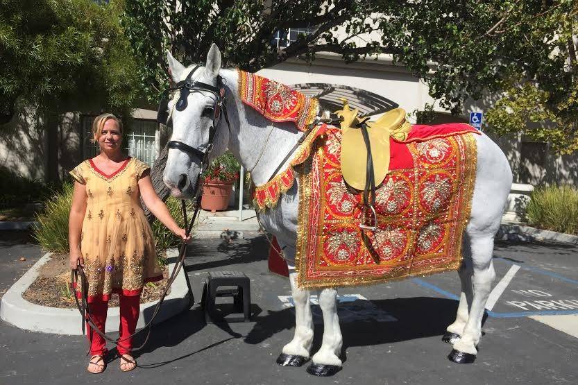 Grand Carriages & Baraat Horse Services