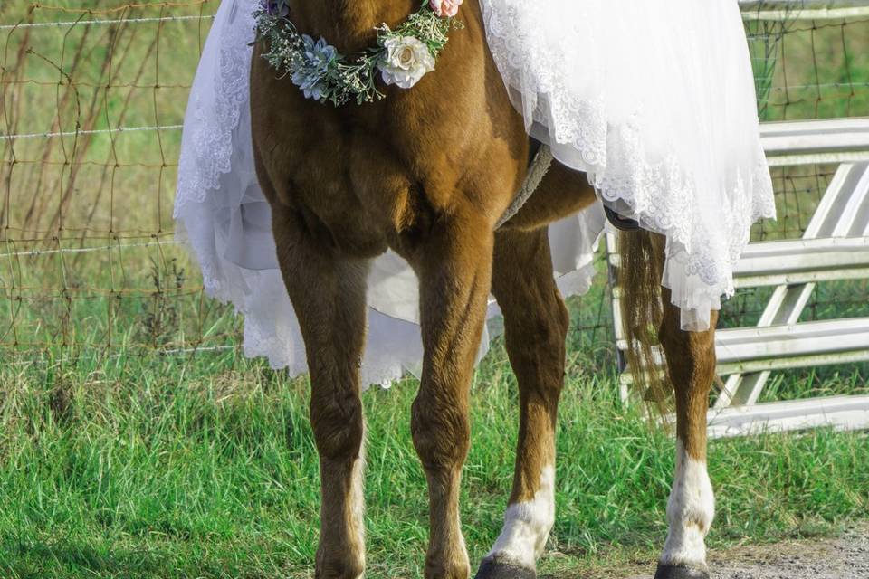 Barn Wedding