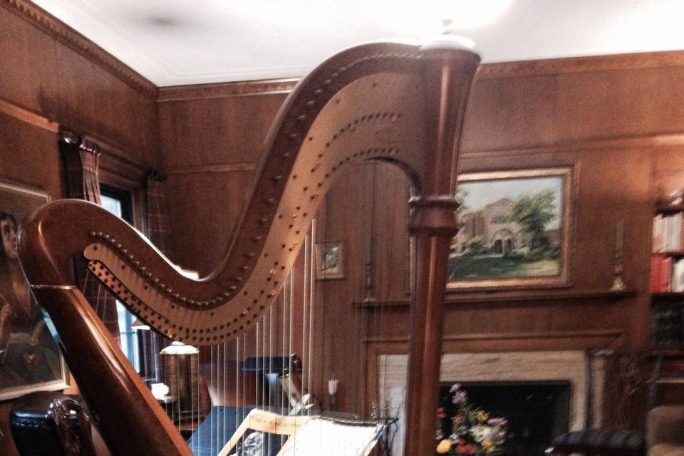 The harp indoors