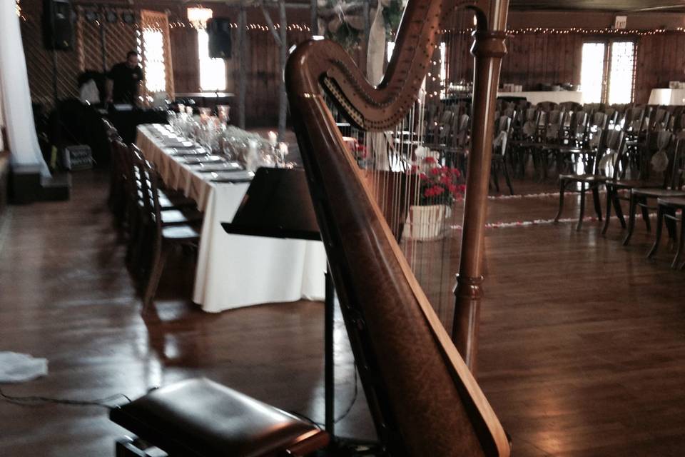 Harp in the reception area