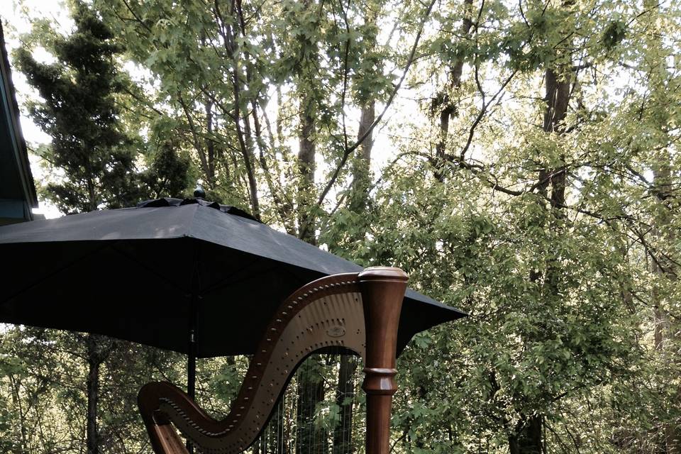 Harp outdoors