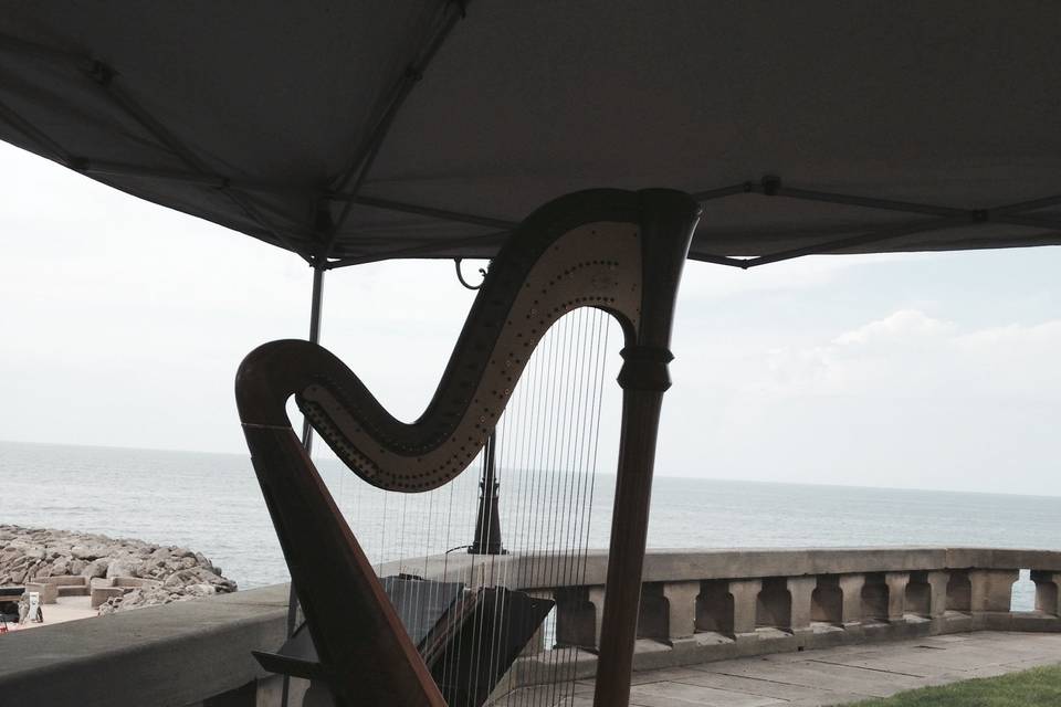 Harp by the sea