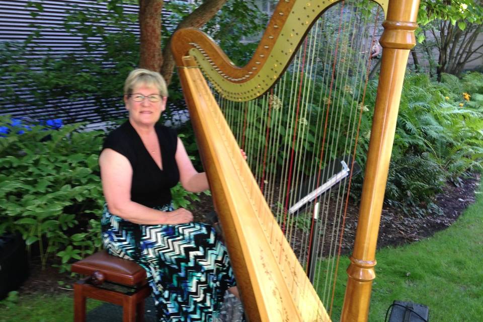 Debbie Beck - Harpist
