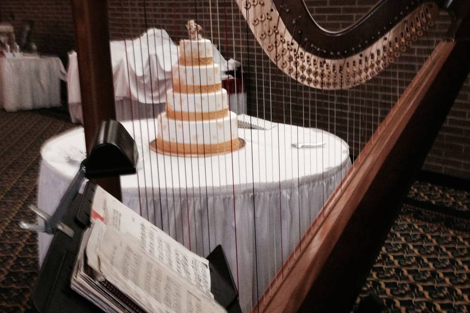 Debbie Beck - Harpist