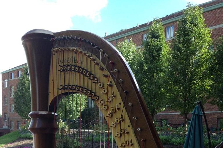 Debbie Beck - Harpist