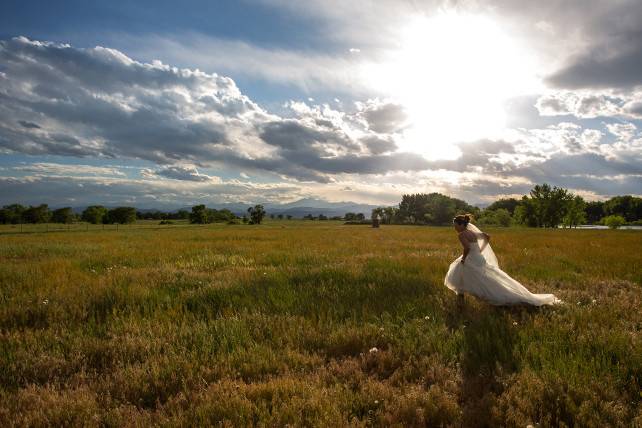 Stark Bellamy Photography