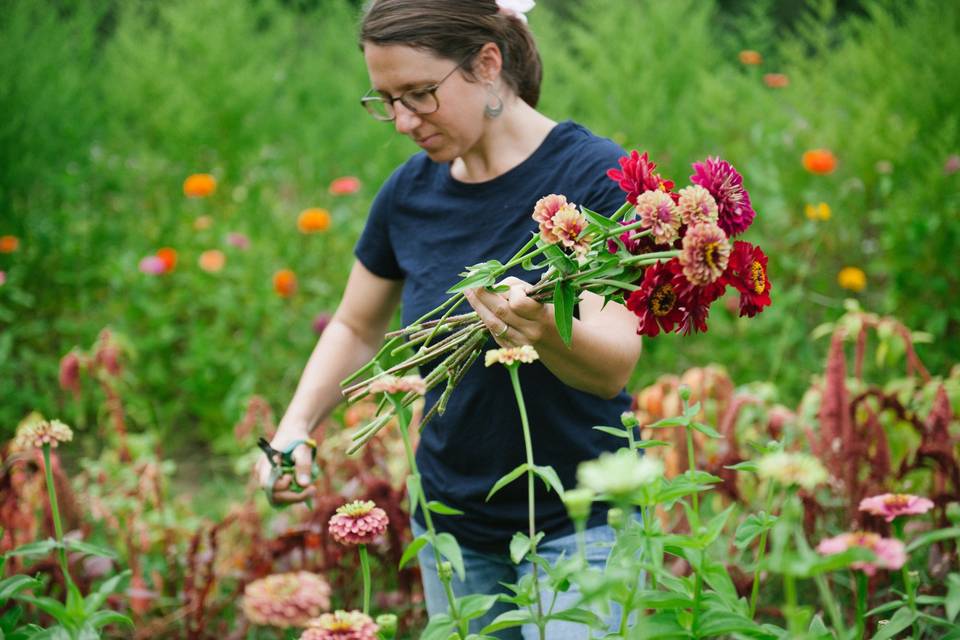 Cut flowers