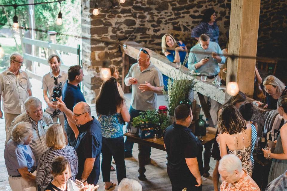 COCKTAIL PARTY PHOTO AT THE FARM-2000PX-THE KNOT.jpg