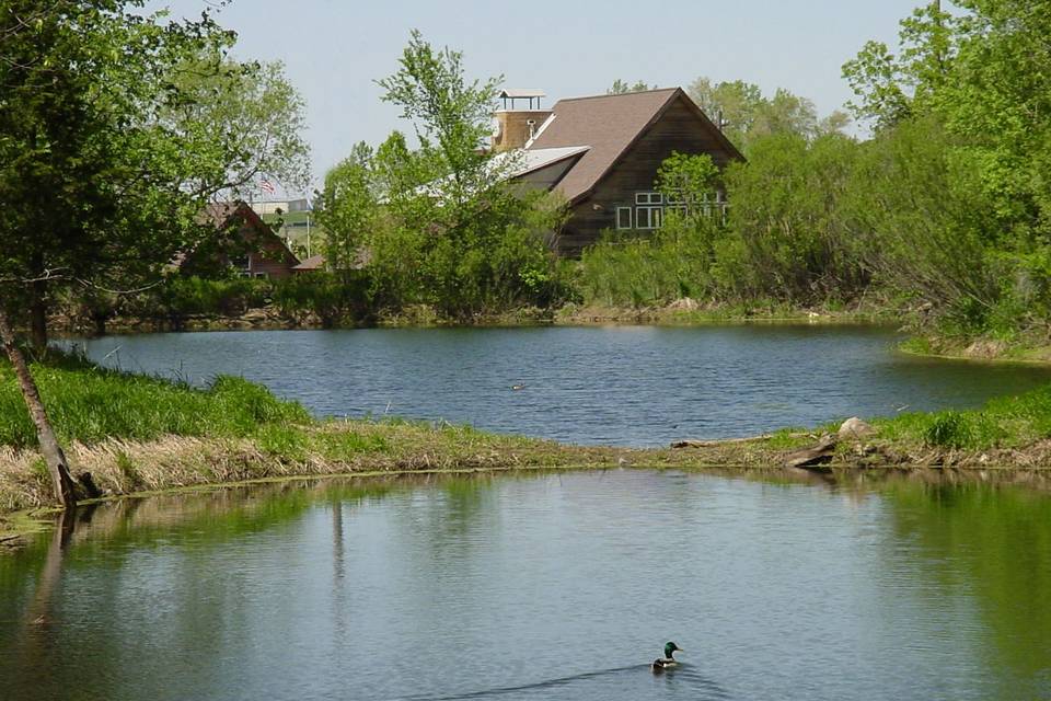 Pond at Great Bear