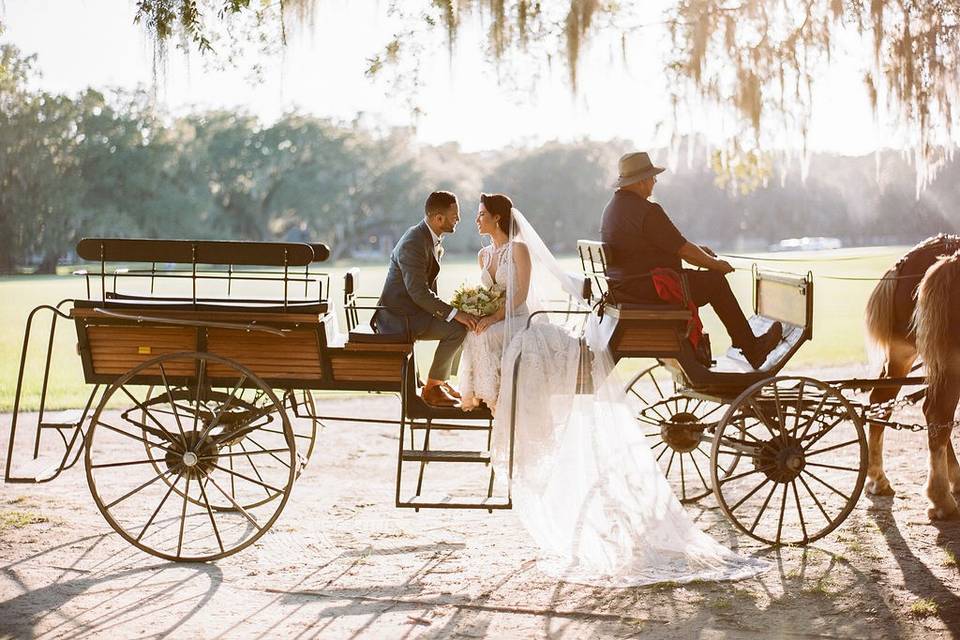 Fairy tale carriage ride
