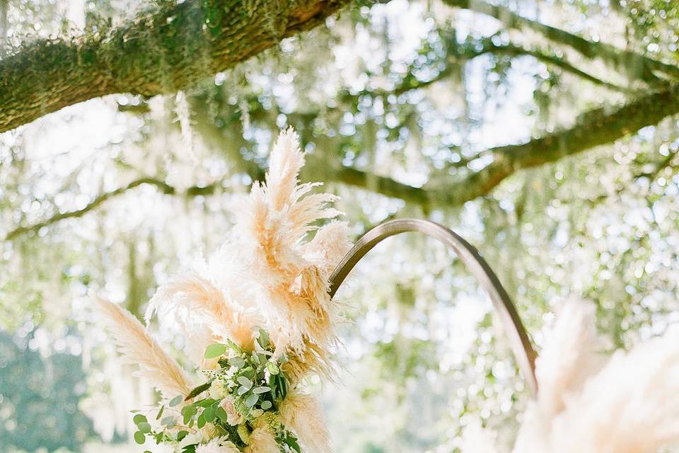 Pampas grass arbor