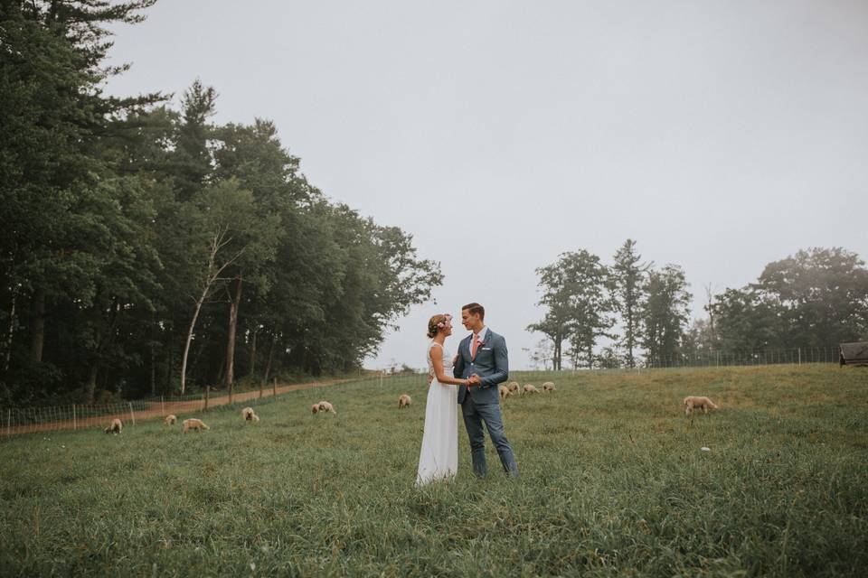 Couple's portrait in the pasture