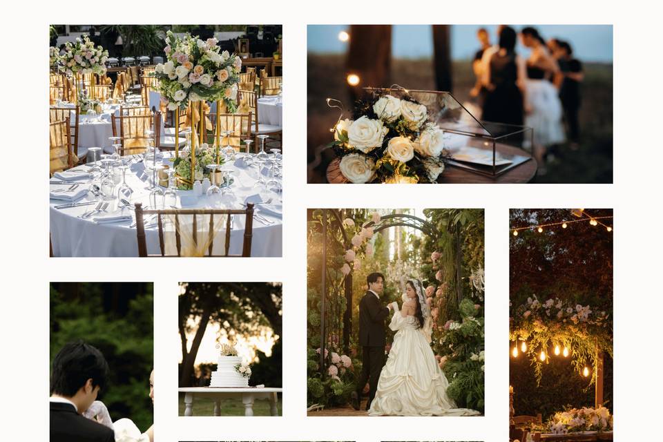 Timelessly Taylor Events