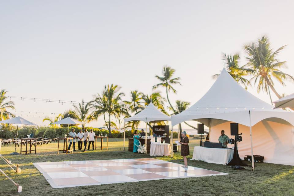 Dance Floor/DJ Setup