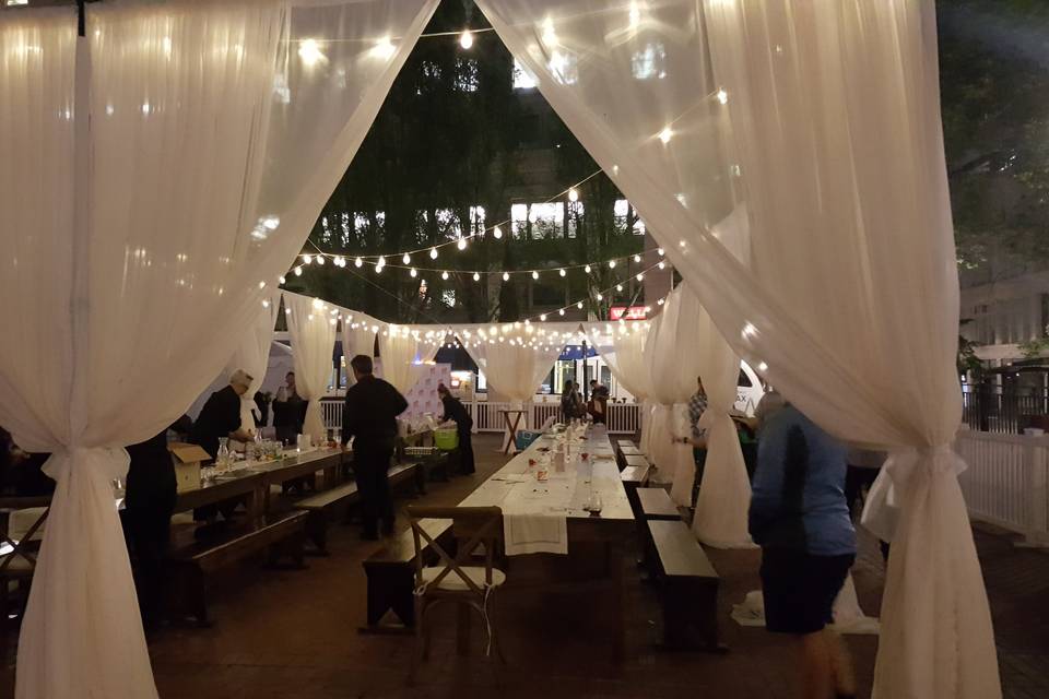 Outdoor lighting and drape